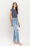 Lovervet by Vervet High Rise Distressed Straight Jeans