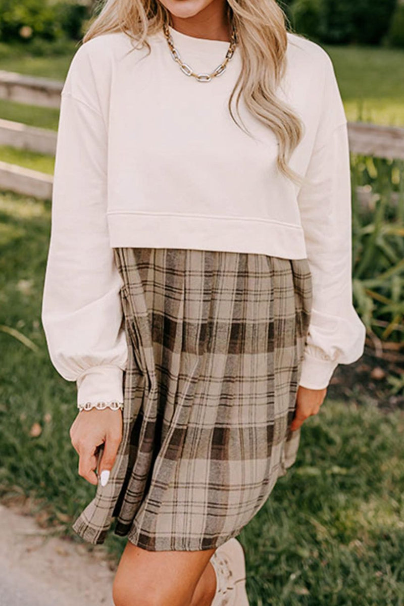 Plaid Round Neck Long Sleeve Mini Dress