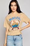 Mineral Wash Montana Big Sky Country Graphic Tee