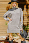 Turtle Neck Long Sleeve Mini Sweater Dress