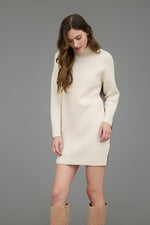 Colorblock Mock Neck Long Sleeve Sweater Dress