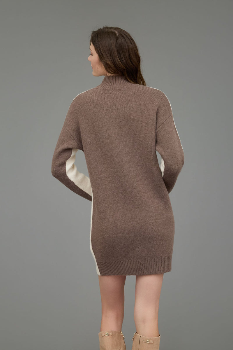 Colorblock Mock Neck Long Sleeve Sweater Dress