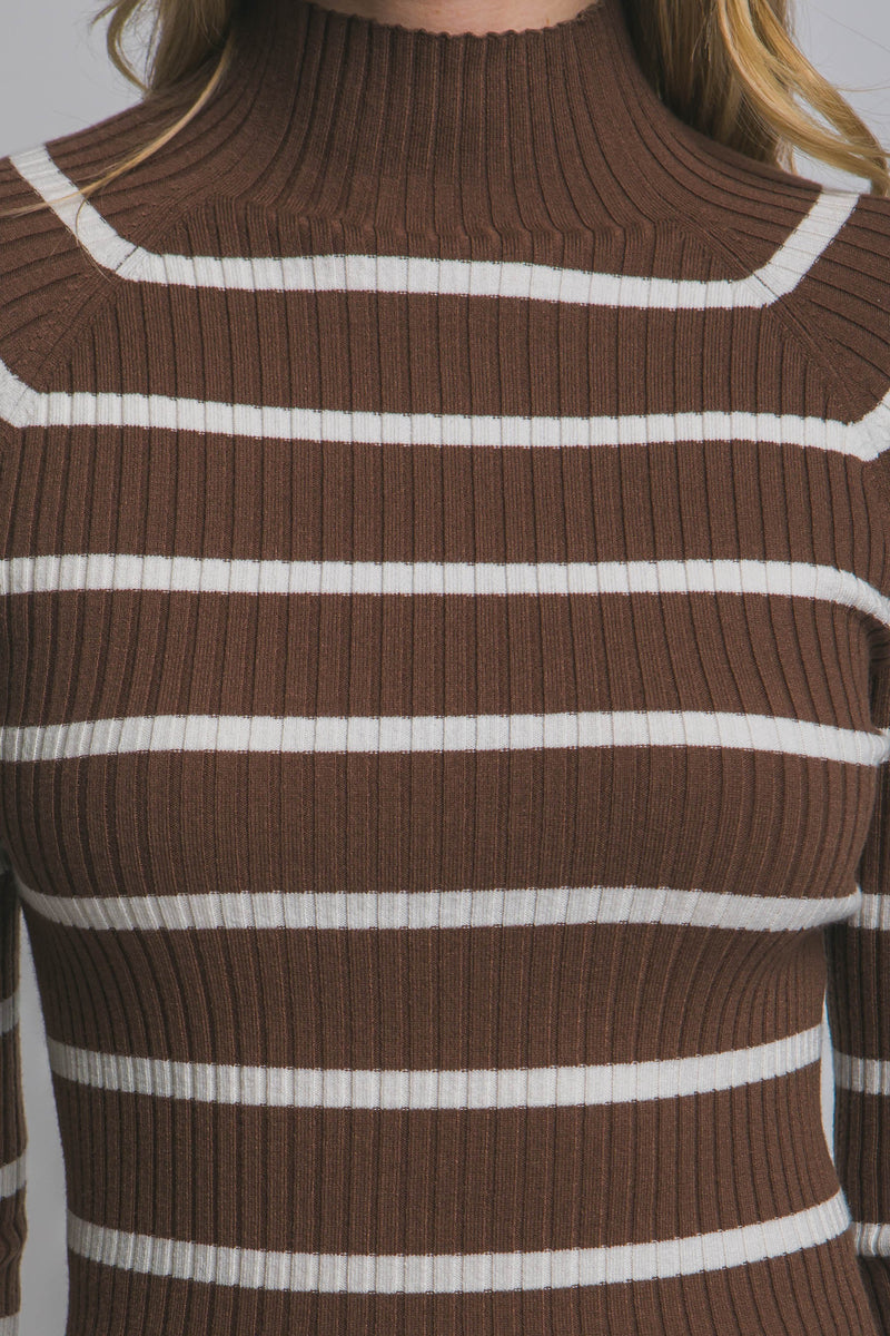 Striped Turtleneck Sweater Top