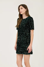 Sequin Back Self Tie Mini Dress