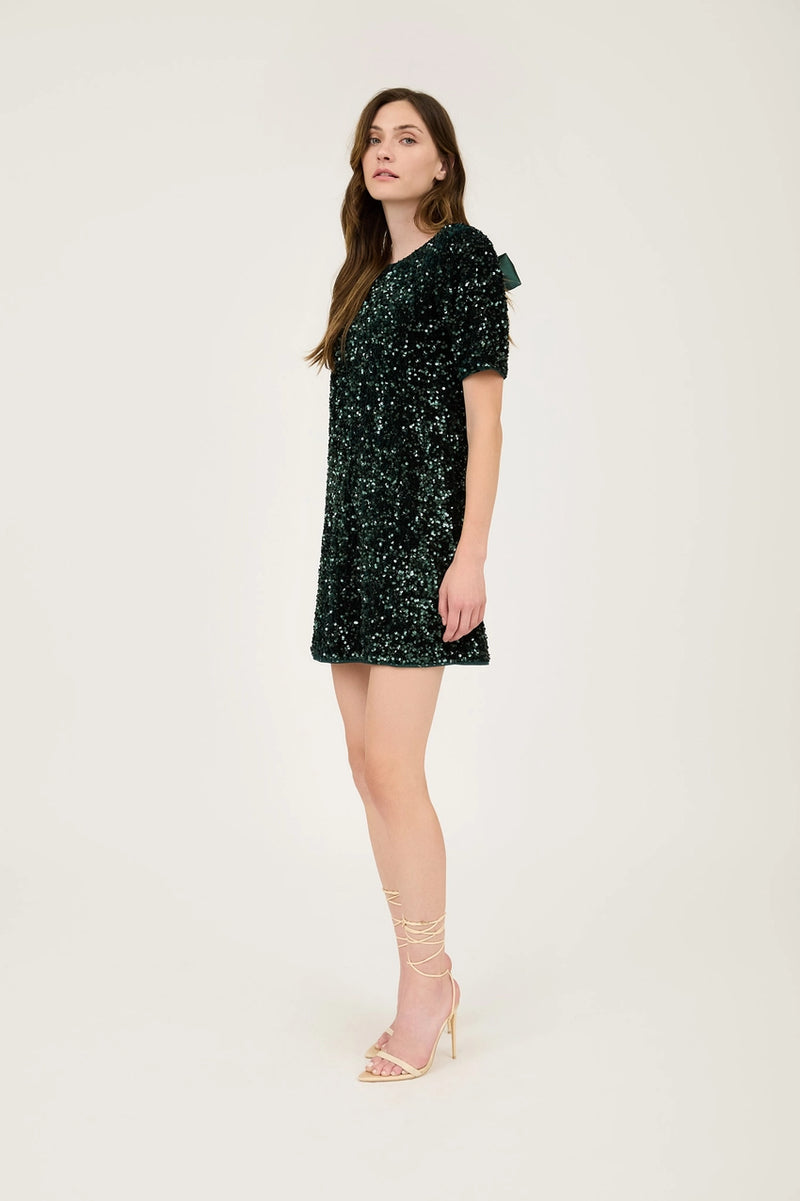 Sequin Back Self Tie Mini Dress