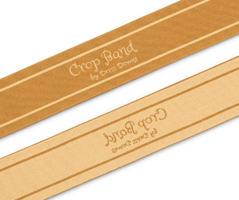 Crop Top Band